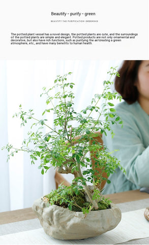 Pot de fleurs en céramique en grès Bol hydroponique en grès chinois