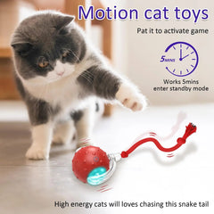 New Cat Rolling Ball Bird Chirping Interactive Cats Pets Toys Mot Pet Products - Fashionner