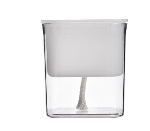 Pot de fleurs hydroponique radis vert en plastique transparent visible