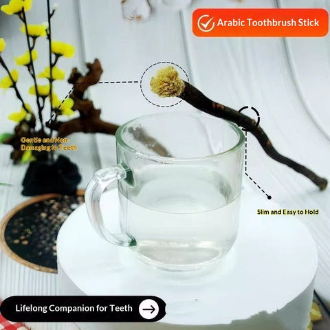 🌿 Miswak Natural Toothbrush Sticks (6 Pack) – Chemical-Free Oral Care