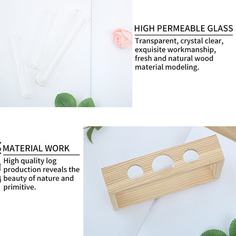 Petite bûche hydroponique plante vase en verre décoration