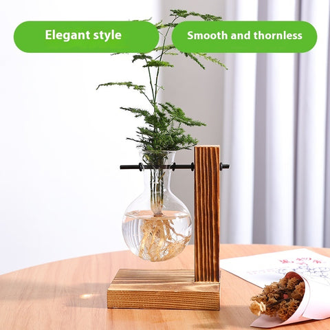 Vase décoratif en verre transparent pour plantes hydroponiques créatives