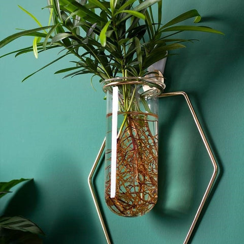 Vase Décoration Murale Pot de fleurs hydroponique Suspendu Décoration Murale