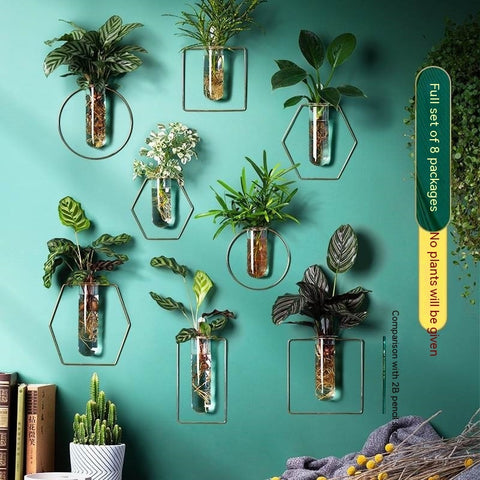 Vase Décoration Murale Pot de fleurs hydroponique Suspendu Décoration Murale