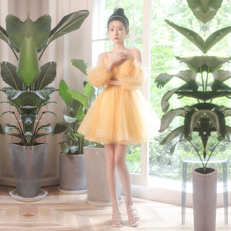 Banquet Birthday Evening Dress Princess Everyday