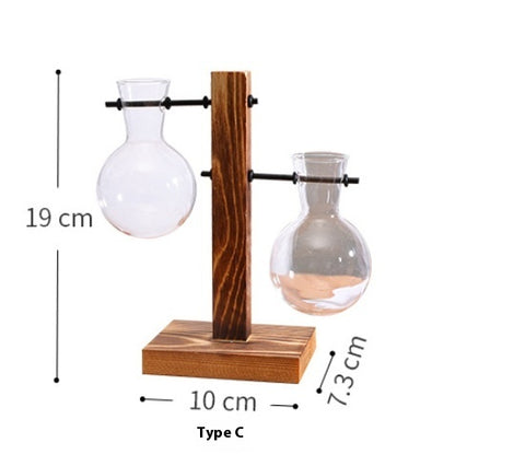 Vase décoratif en verre transparent pour plantes hydroponiques créatives