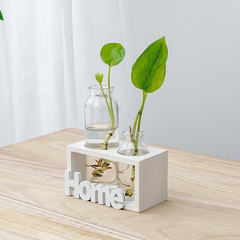 Simple And Fresh Glass Vase Hydroponic