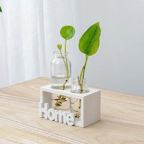 Vase en verre simple et frais pour hydroponie
