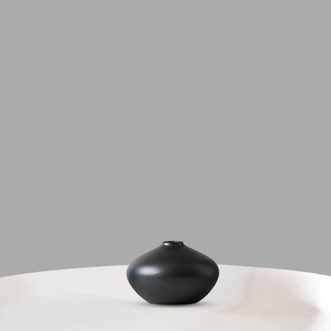Vase simple créatif hydroponique salon