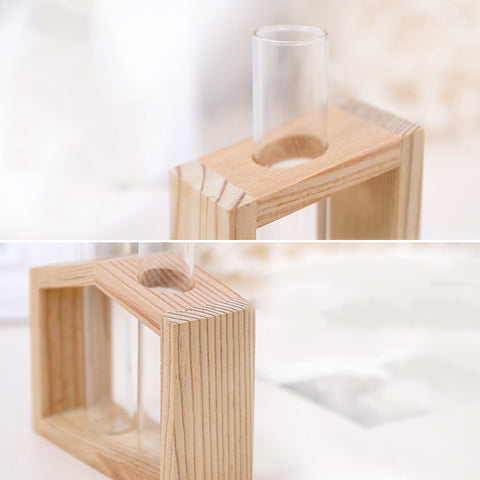 Petite bûche hydroponique plante vase en verre décoration