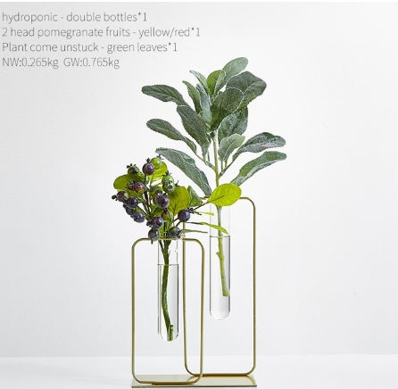 Vase hydroponique transparent en verre pour aneth vert