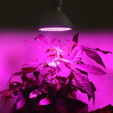 Phyto Lampe LED Horticulture Plein Spectre E27 Lampe de Croissance pour Plantes avec Clip pour Serre Hydroponique Légumes Fleurs Fitolampy