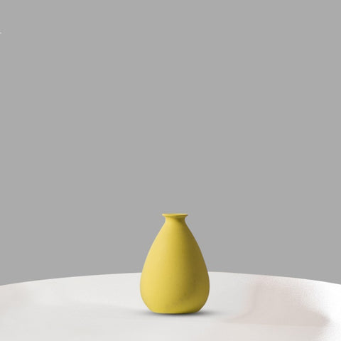 Vase simple créatif hydroponique salon