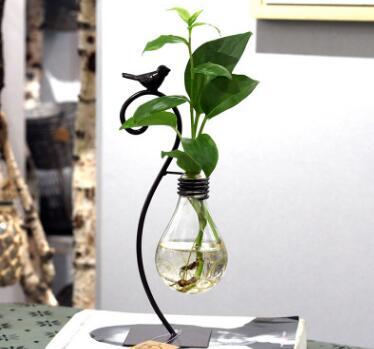 Jardinière hydroponique intérieure, pot de fleurs en verre avec support en acier