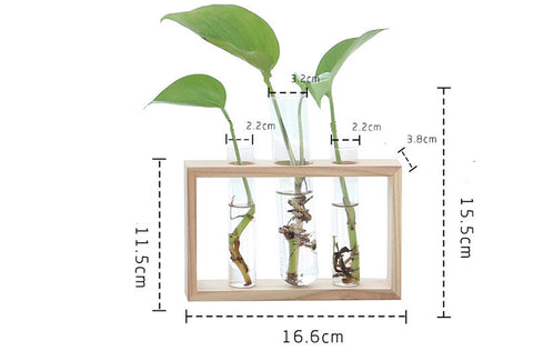 Petite bûche hydroponique plante vase en verre décoration