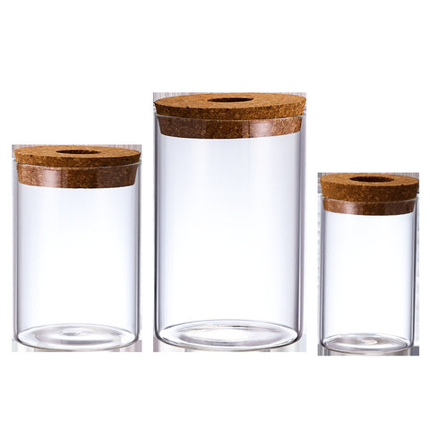 Vase hydroponique en verre, fait main, créatif et minimaliste