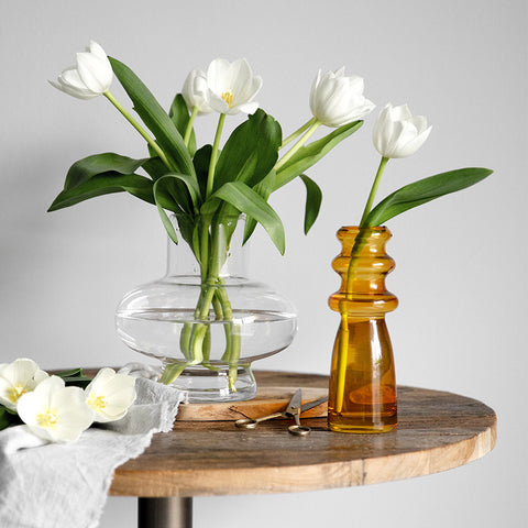 Vase en Verre Transparent avec Fleurs Séchées et Décoration Hydroponique