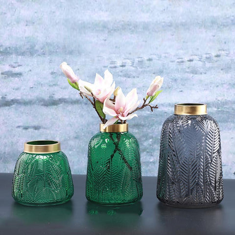 Vase en Verre Transparent Phnom Penh Fleurs Séchées Ornements Hydroponiques