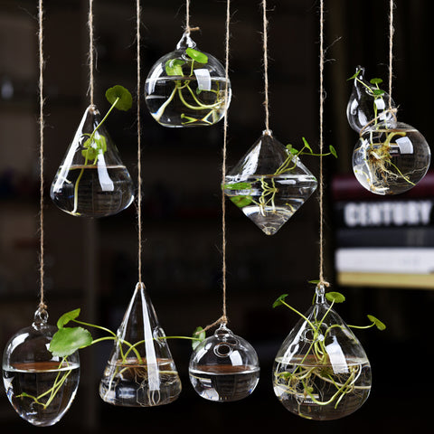 Vase suspendu en verre transparent simple, petite bouteille suspendue hydroponique
