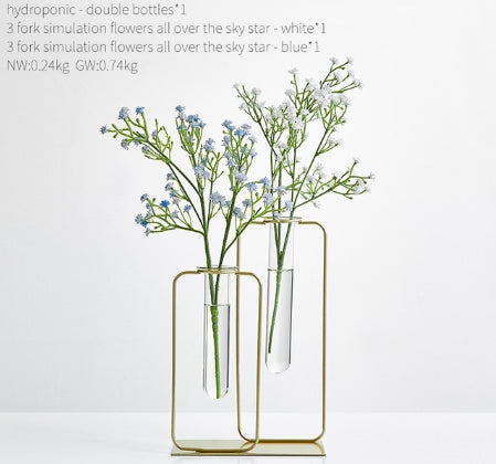 Vase hydroponique transparent en verre pour aneth vert