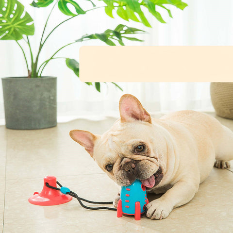Jouets Rocket Dog pour chiens : jouets qui fuient la nourriture, jouets mordants, jouets résistants aux morsures