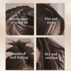 Herbal Note Cocoa Butter Shampoo 500ml - Cocoa Shampoo