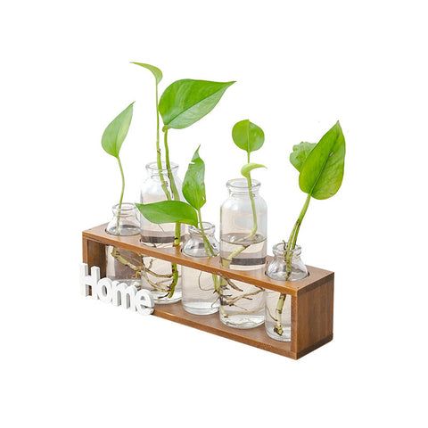 Vase en verre simple et frais pour hydroponie