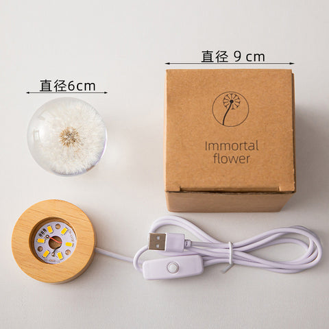 Veilleuse LED Fleur Boule de Cristal Lampe de Nuit pour Enfants avec Base en Bois Lumière Ambiante de Chambre Cadeau Créatif Veilleuse