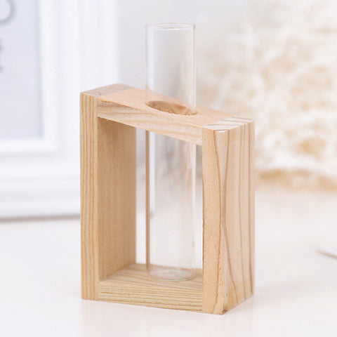 Petite bûche hydroponique plante vase en verre décoration