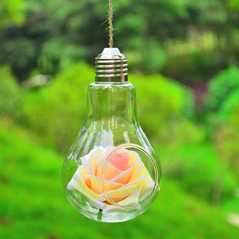 Vase ampoule en verre hydroponique transparent suspendu