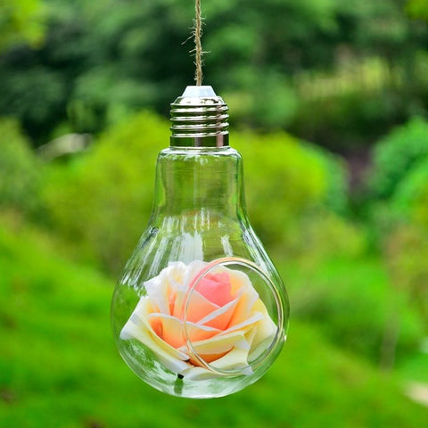 Vase ampoule en verre hydroponique transparent suspendu