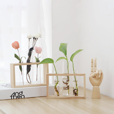 Petite bûche hydroponique plante vase en verre décoration