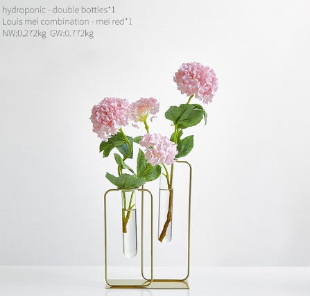 Vase hydroponique transparent en verre pour aneth vert