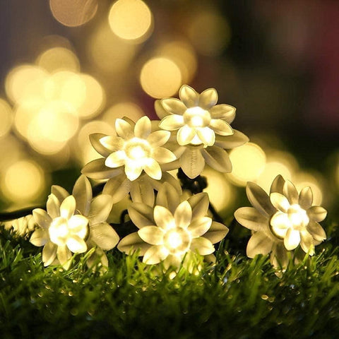 16 lumières LED décoratives en forme de fleur de lotus, 3 mètres
