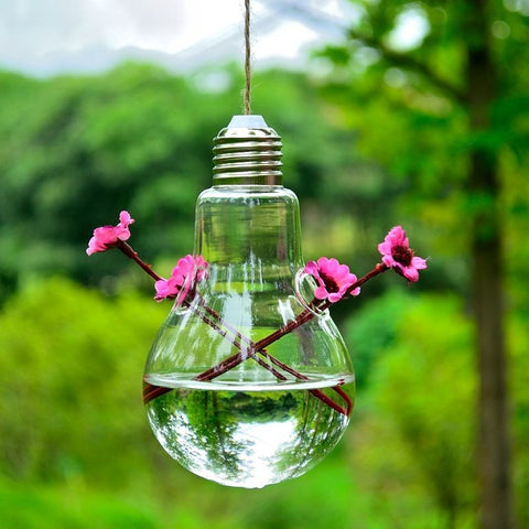 Vase ampoule en verre hydroponique transparent suspendu