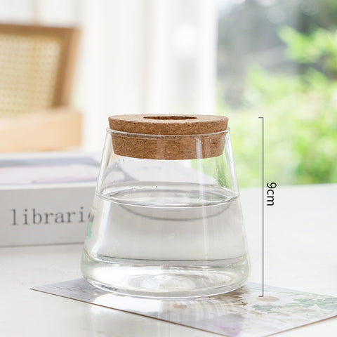 Vase en verre pour plantes hydroponiques, transparent, simple et créatif