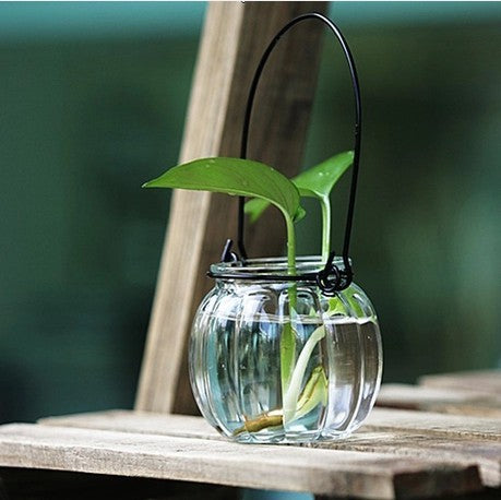 Vase en verre pour culture hydroponique