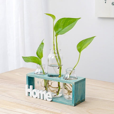 Vase en verre simple et frais pour hydroponie