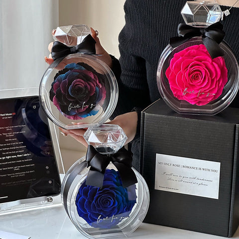 Ornements naturels de fleurs éternelles Housse transparente Boîte cadeau de roses séchées pour Noël Nouvel An Saint-Valentin Décoration intérieure