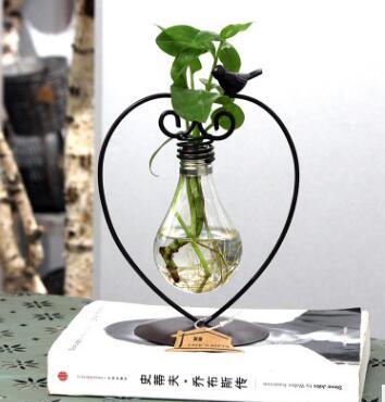 Jardinière hydroponique intérieure, pot de fleurs en verre avec support en acier