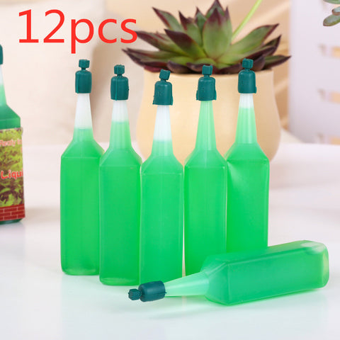 Bouteille 38ML Engrais concentré à base de déjections de vers de terre bio Olivier Bonsaï Solution nutritive hydroponique Universel pour plantes en pot
