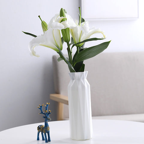 Ornements de décoration intérieure Vase hydroponique losange