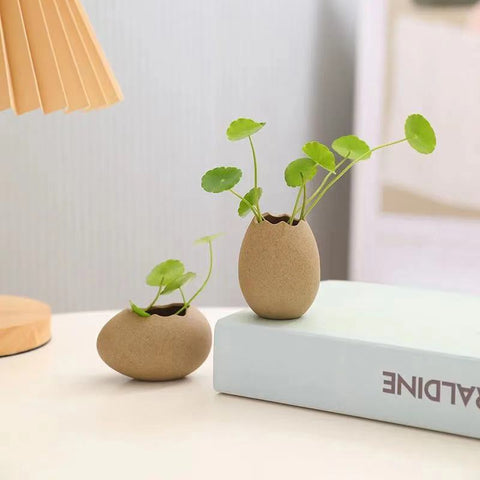 Contenants à fleurs hydroponiques minimalistes en coquille d'œuf d'autruche créatifs