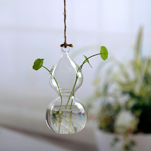 Vase suspendu en verre transparent simple, petite bouteille suspendue hydroponique