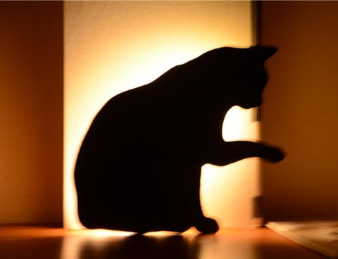 LED Animal Chien Chat Forme Veilleuse Capteur de Contrôle Intelligent Lampe Murale Sonore Couloir Maison Balcon Nuit Lampe Bébé Enfants Lampes de Sommeil