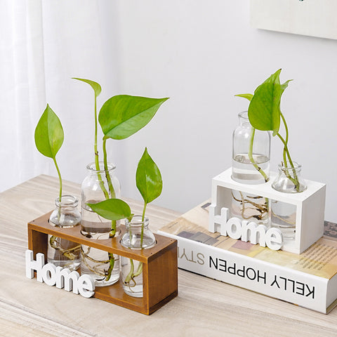 Vase en verre simple et frais pour hydroponie
