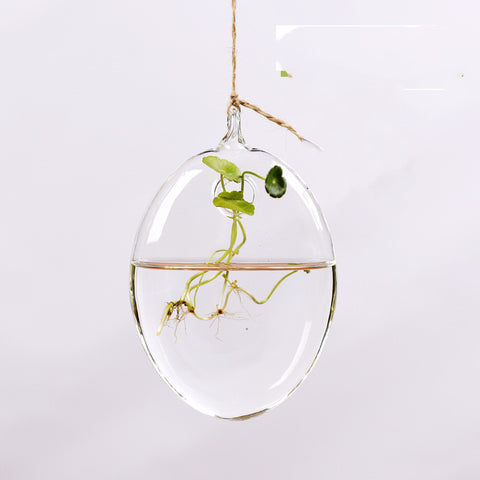 Vase suspendu en verre transparent simple, petite bouteille suspendue hydroponique