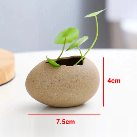 Contenants à fleurs hydroponiques minimalistes en coquille d'œuf d'autruche créatifs