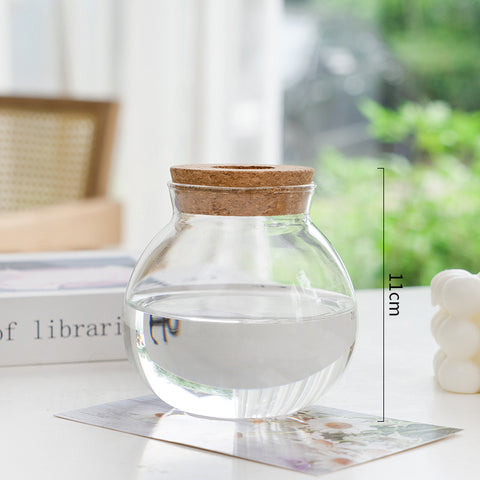 Vase en verre pour plantes hydroponiques, transparent, simple et créatif