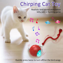 New Cat Rolling Ball Bird Chirping Interactive Cats Pets Toys Mot Pet Products - Fashionner